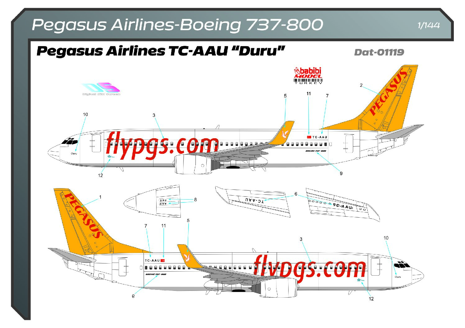 dat-01119 pegasus airlines 737-800 duru 144 plan